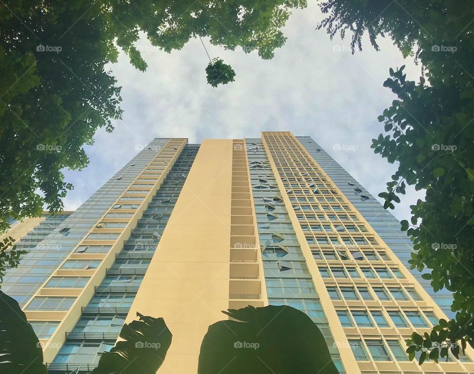 A tall building down to up view in between trees 