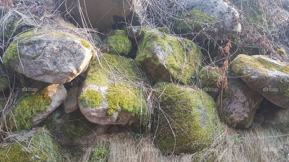 Stones in Old Mountain