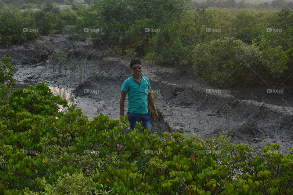 in mangrove forest