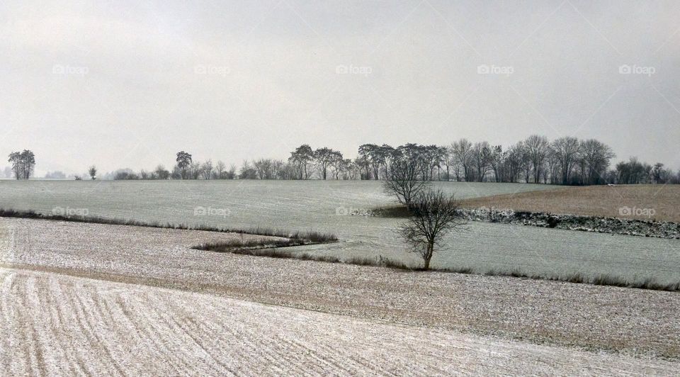 Flandes Snowy countryside