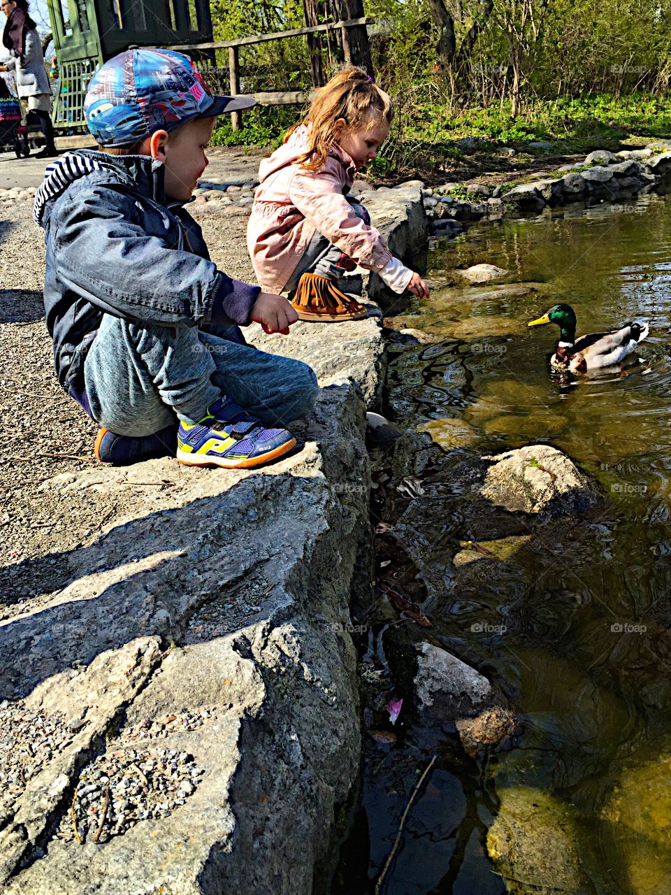 Feed the birds! 