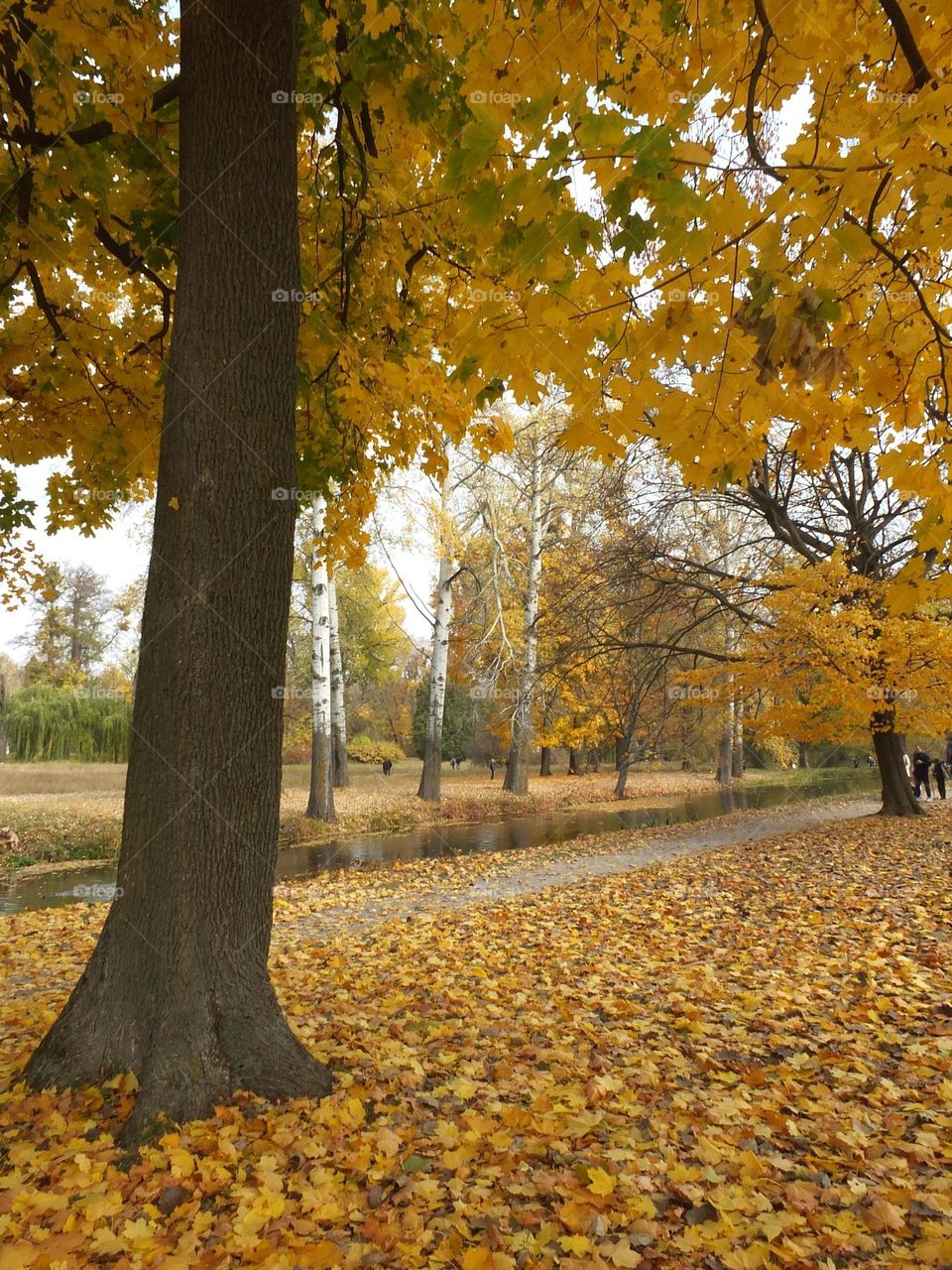 Fall Wins! (Bonus Exclusive Mission)