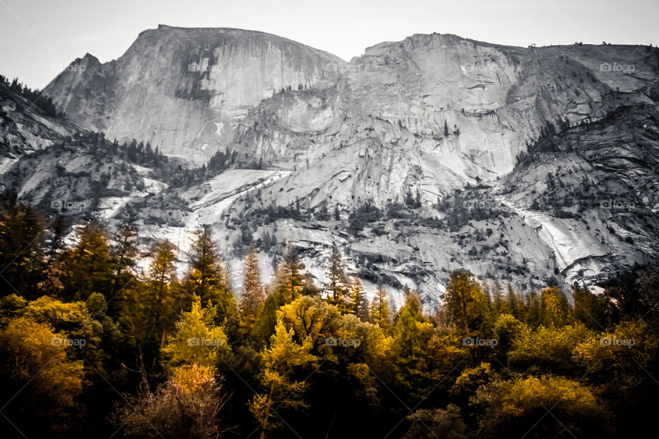 Yosemite National Park