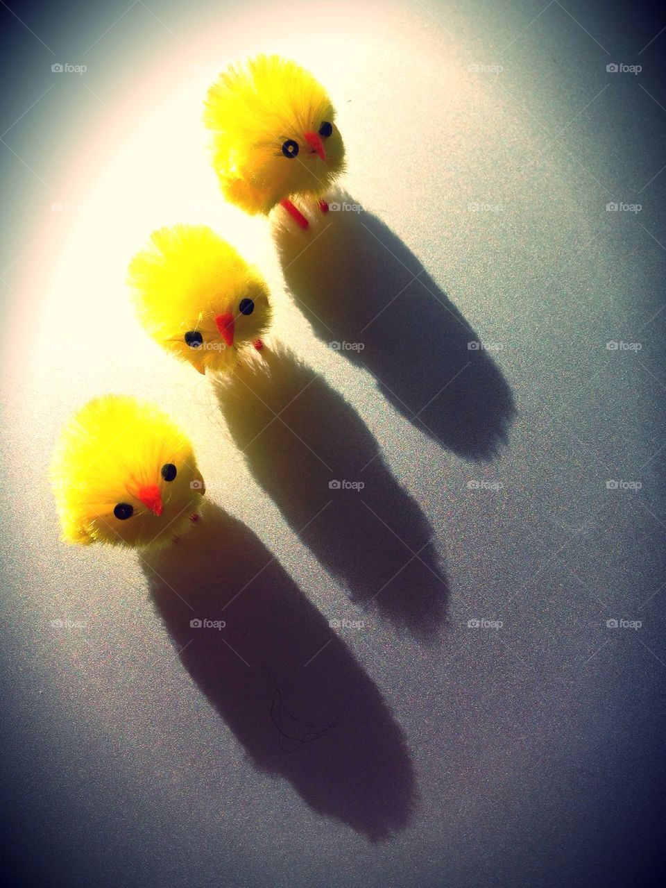 Cute toy baby chicks 