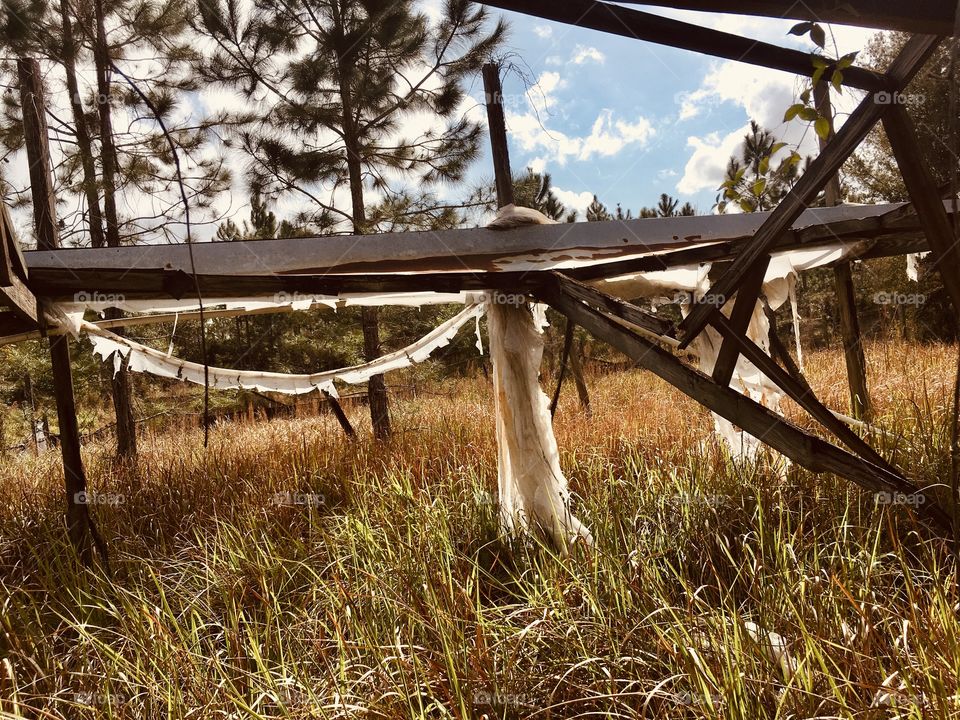 Hawthorne Nursery urbex abandoned