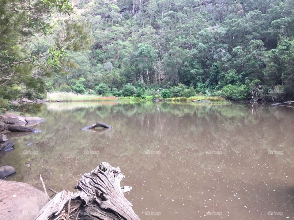 Best view over the water with scenic bush background