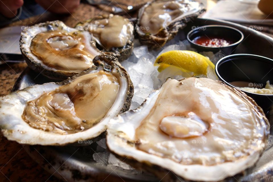 Oysters on the half shell