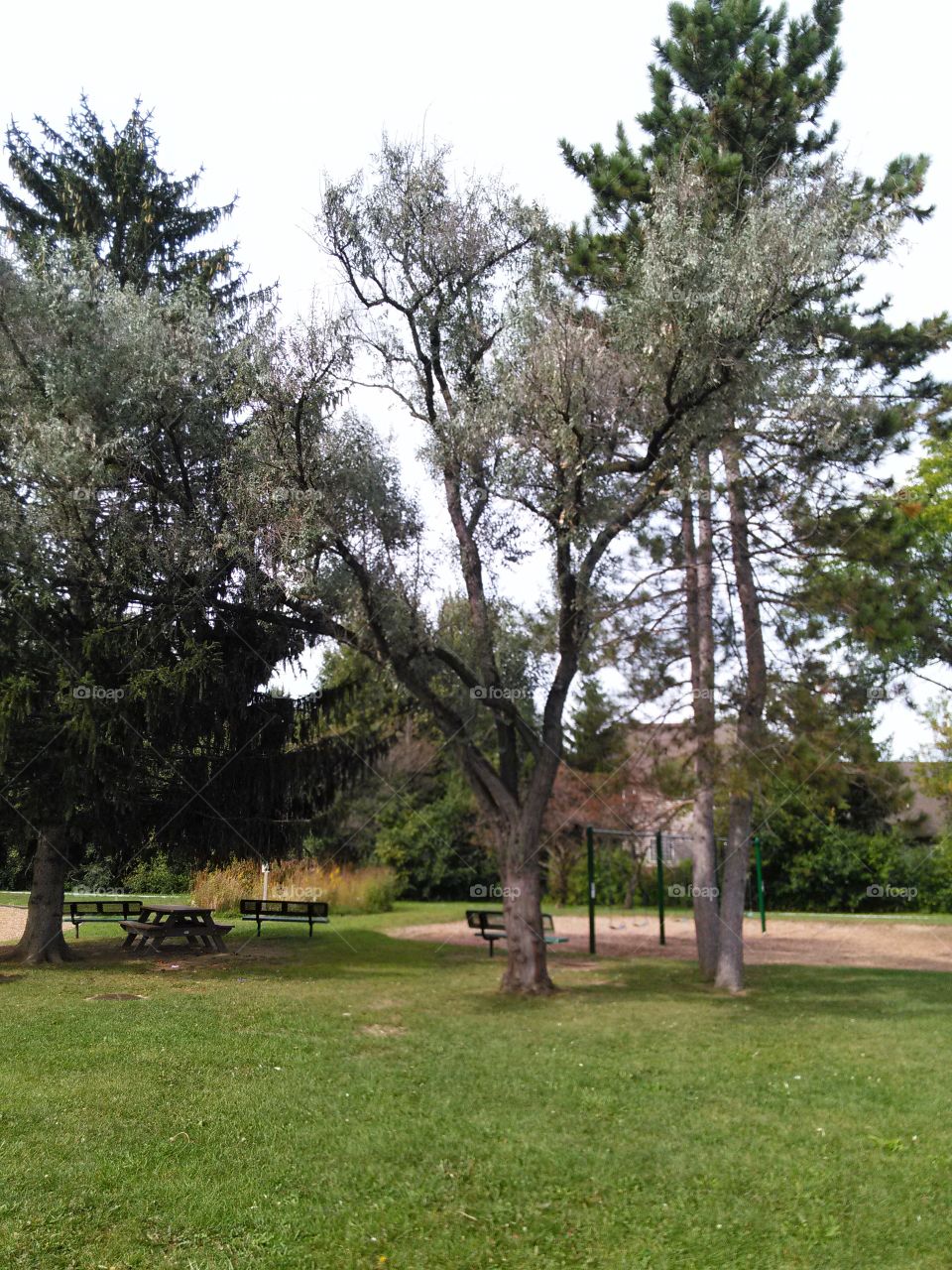 Nature Park. beautiful setting in a local park
