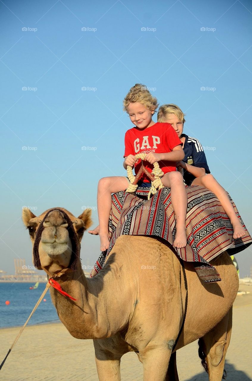 Camelride 