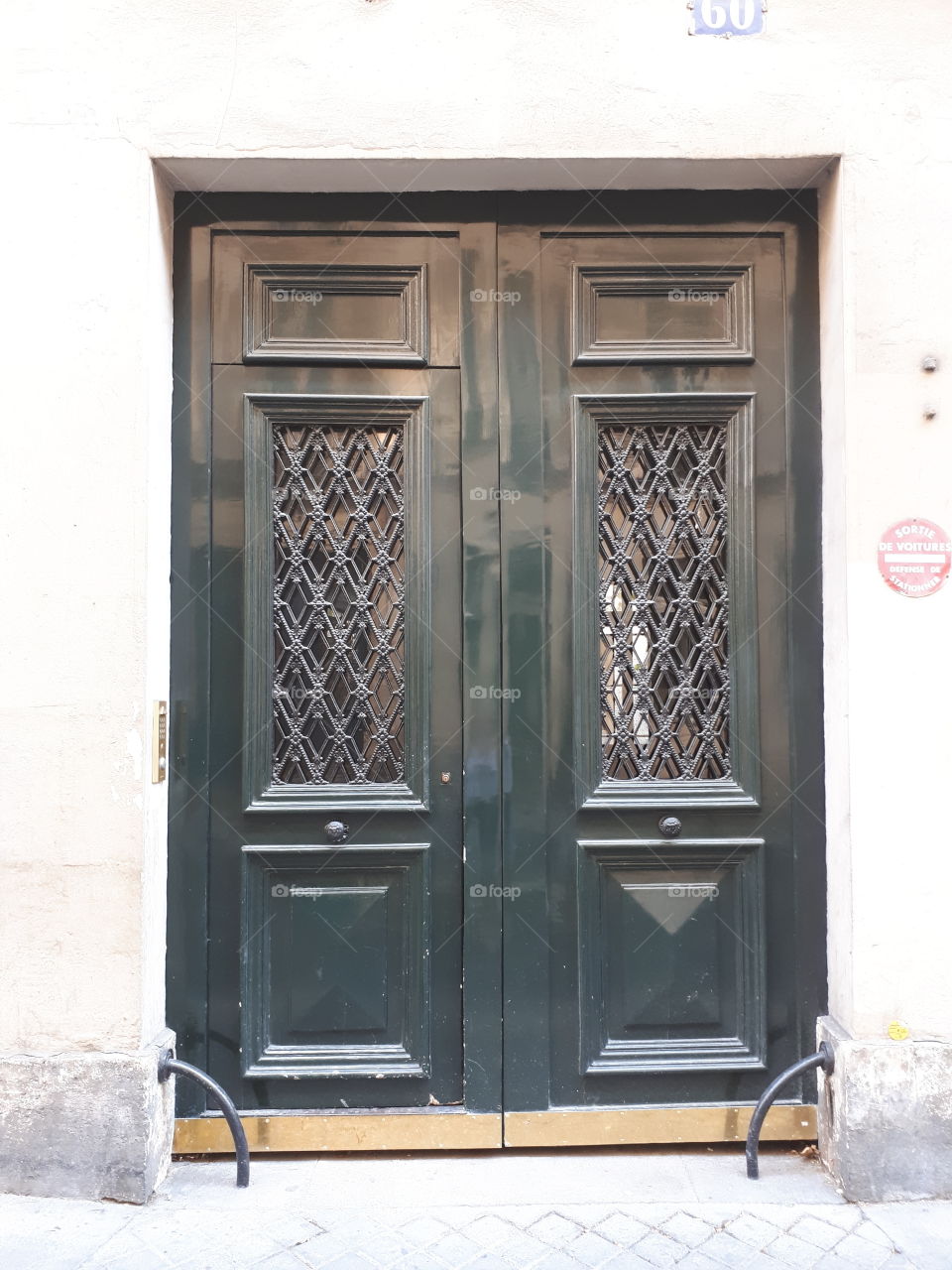 Wooden dark green entrance door with grate