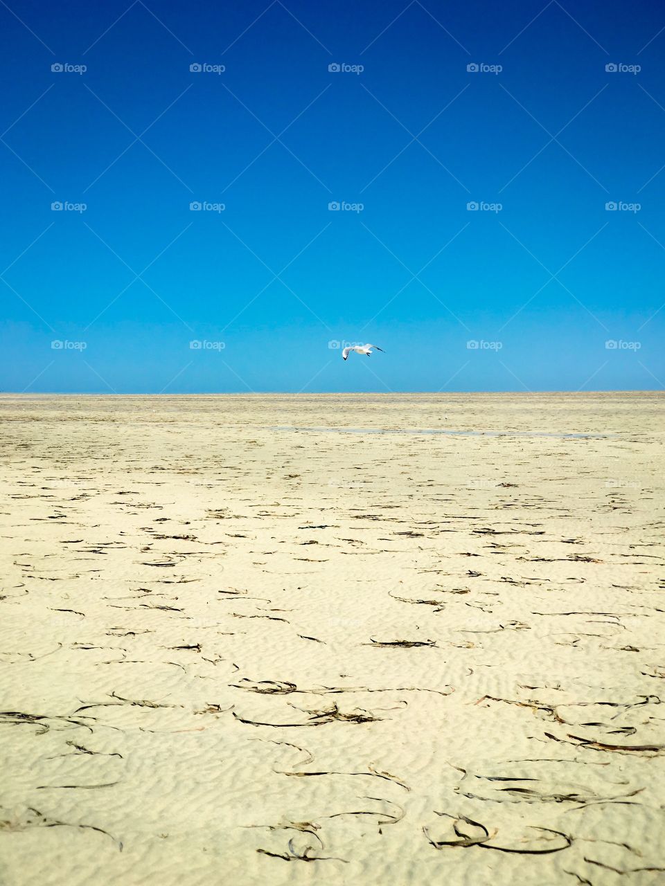 An endless beach created by extreme low tide provides a wonderful minimalistic and conceptual background image shot