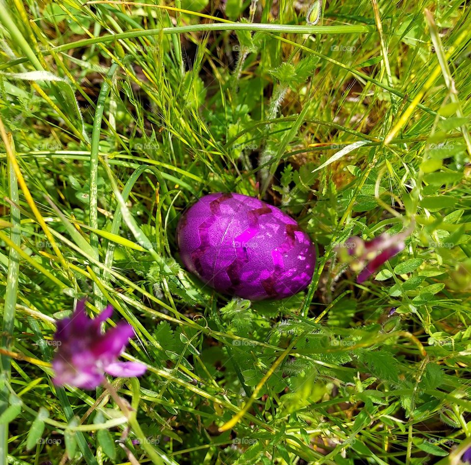 Easter egg hunt in the city of Roseville California