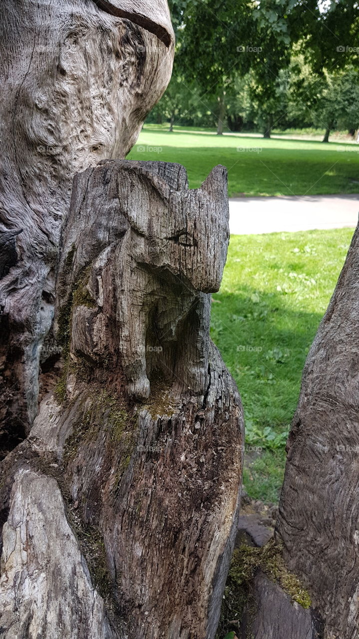 Tree Carving, Bute Park,Cardiff
