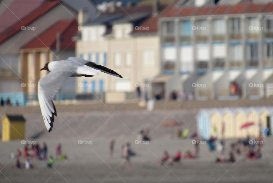 At the seaside