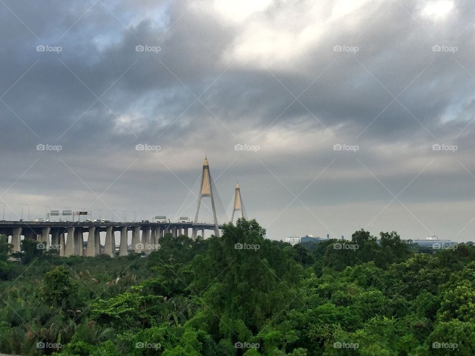 Green bridge