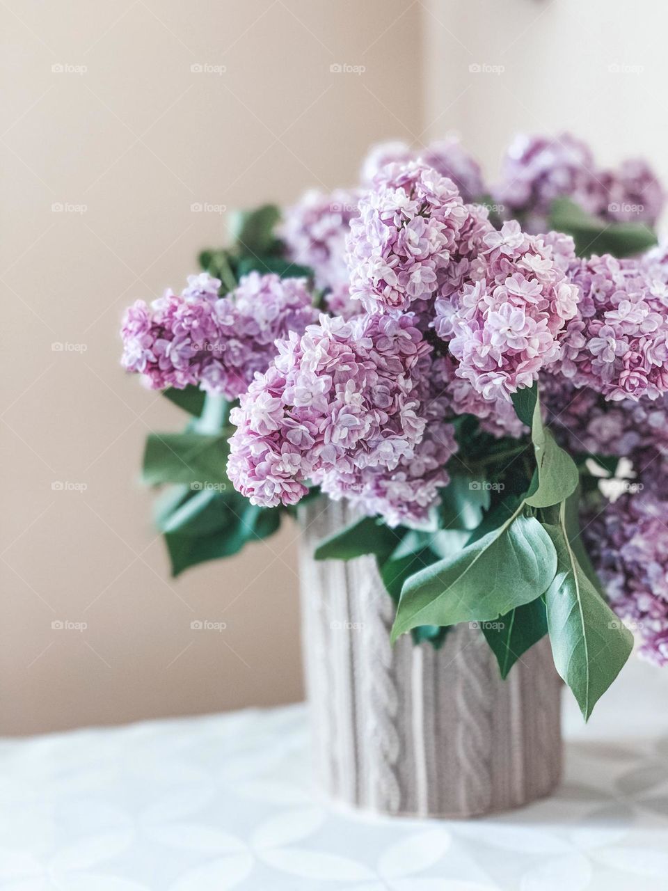 Lilac flowers 