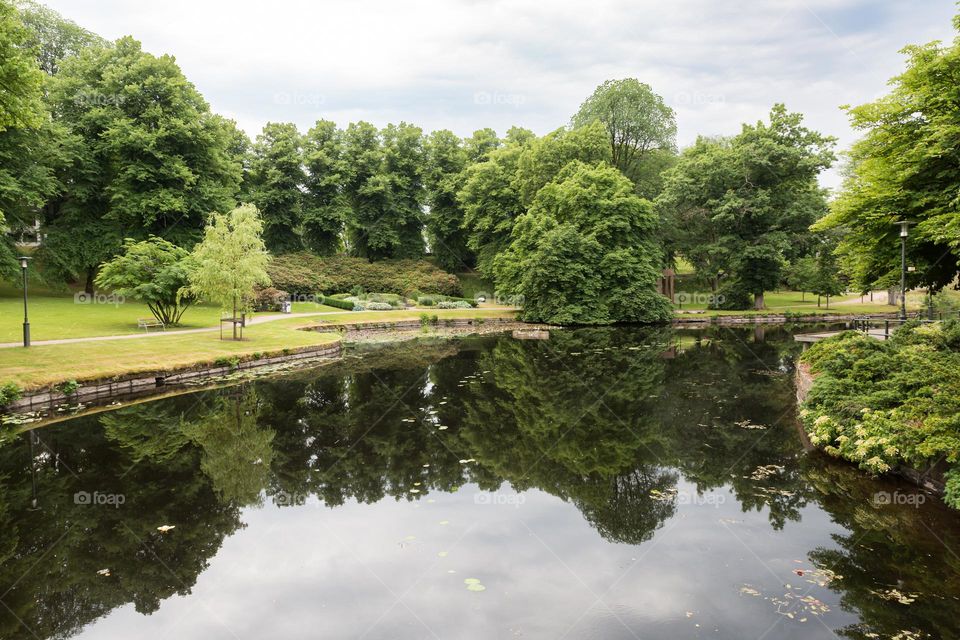 Tree reflections in the lake at the city park of Boras Sweden at summer time 