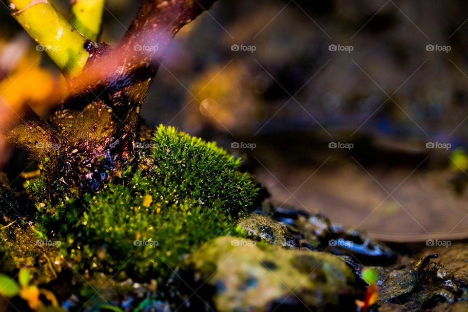 The beauty of nature is really vibrant. Adore it, save it 🌄