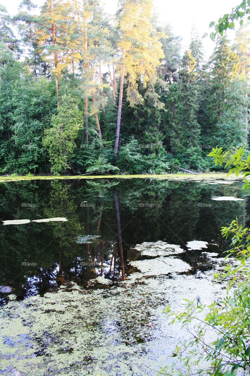 View from the shore