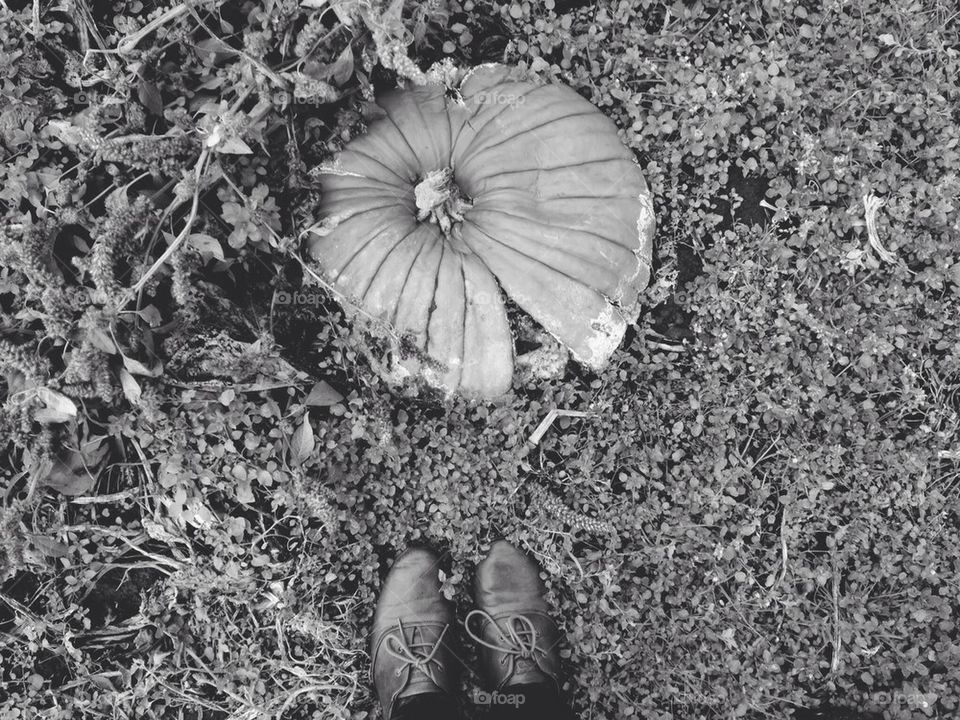 Deflated pumpkin dreams