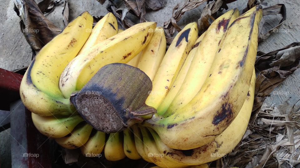 Bananas are rich in the mineral potassium which is important for maintaining heart function and blood circulation