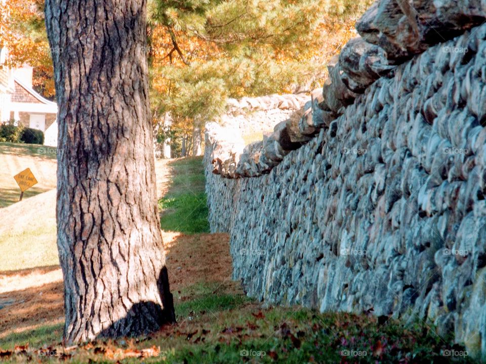 Cobblestone Walls