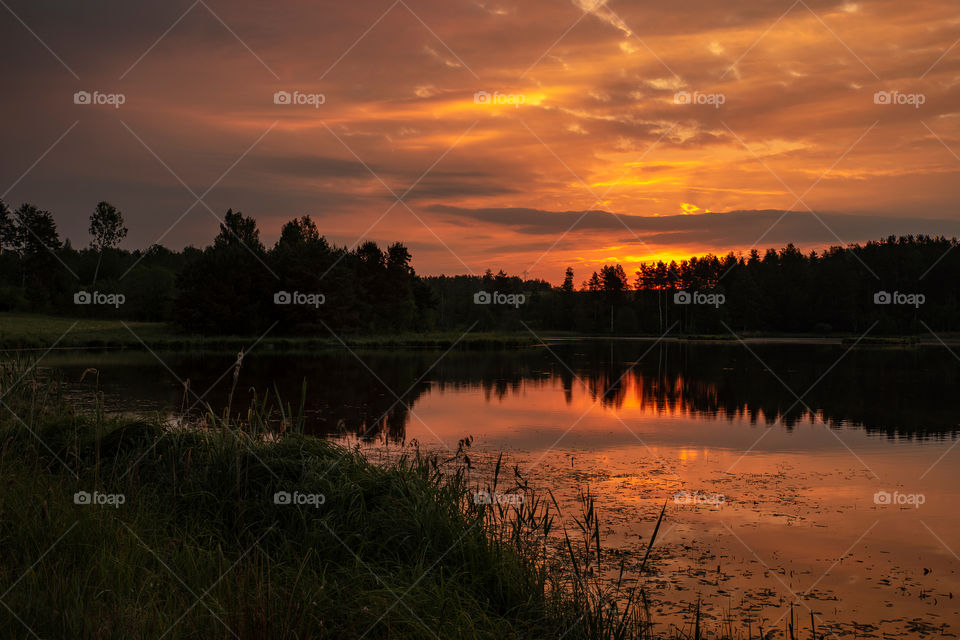 Summer morning. Summer sunrise. Lake. Landscape.