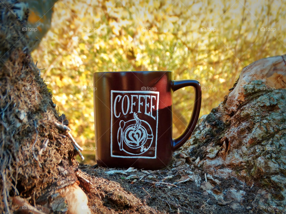 Autumn coffee time in the nature