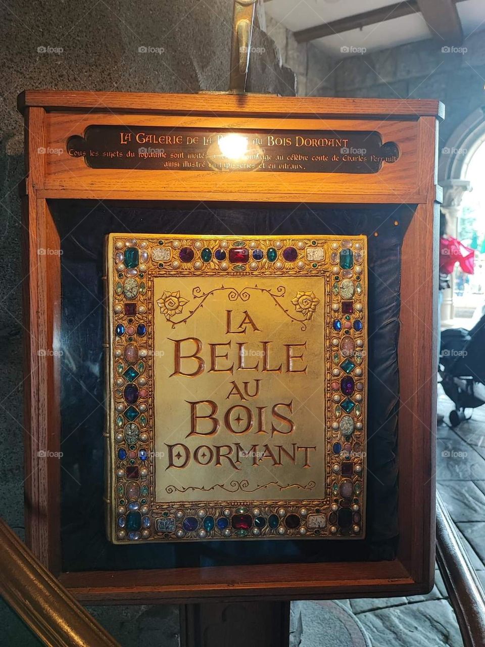 Disneyland Park Day in Paris