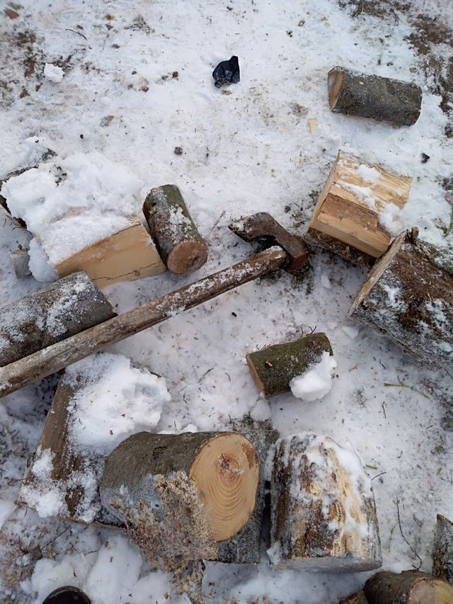 winter activities