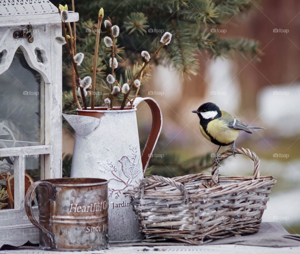 Still life with small bird 