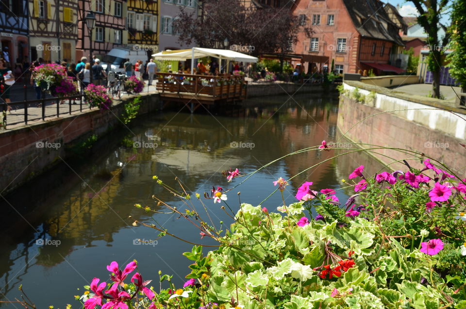 alsace
