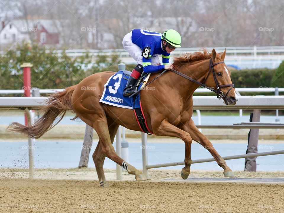 Fleetphoto on Claiming Crown Day