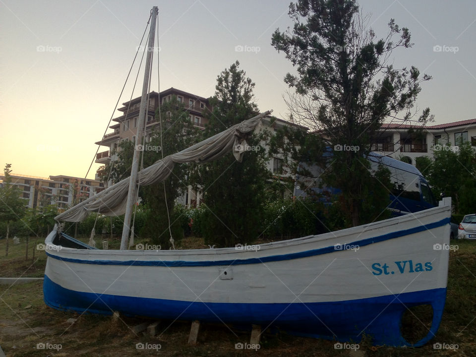 plants tree boat resort by penguincody