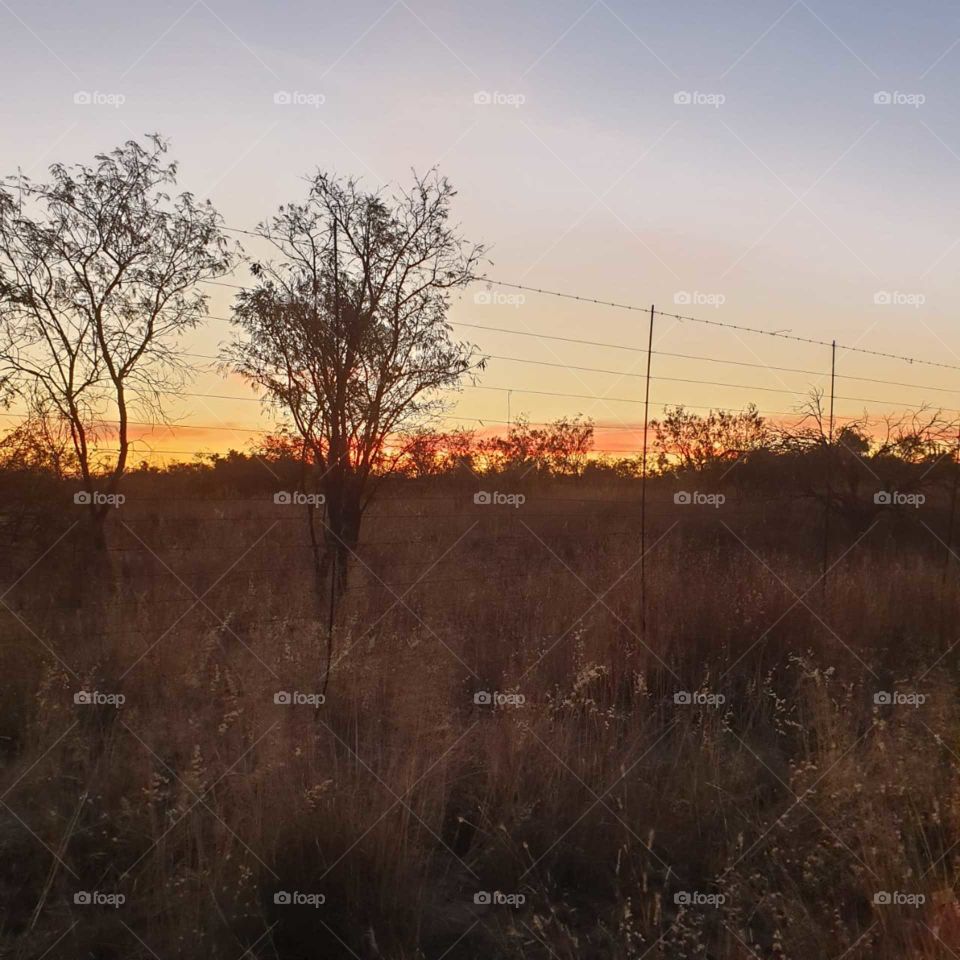 Bushveld sunset behind a fence, still beautiful.