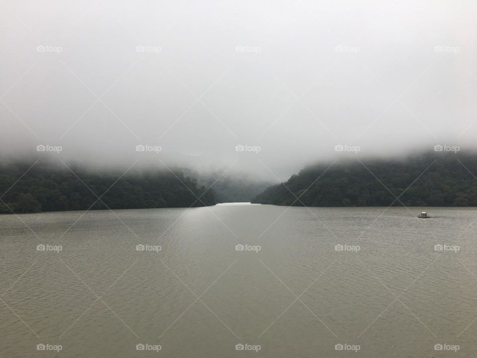 Landscape in the fog