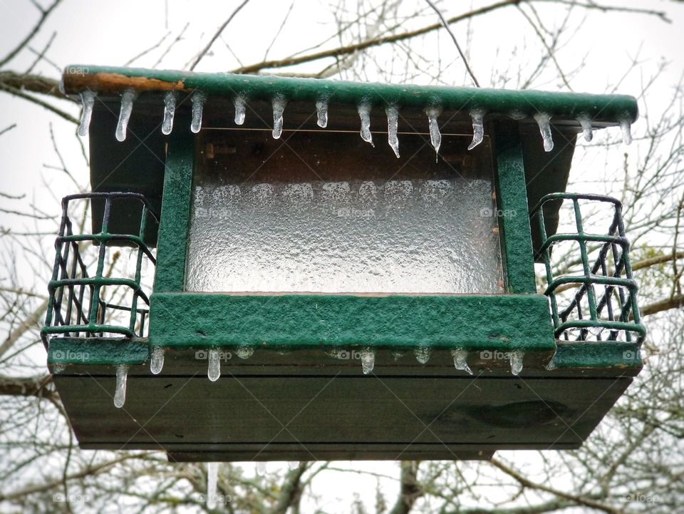 Icy Bird Feeder in Winter