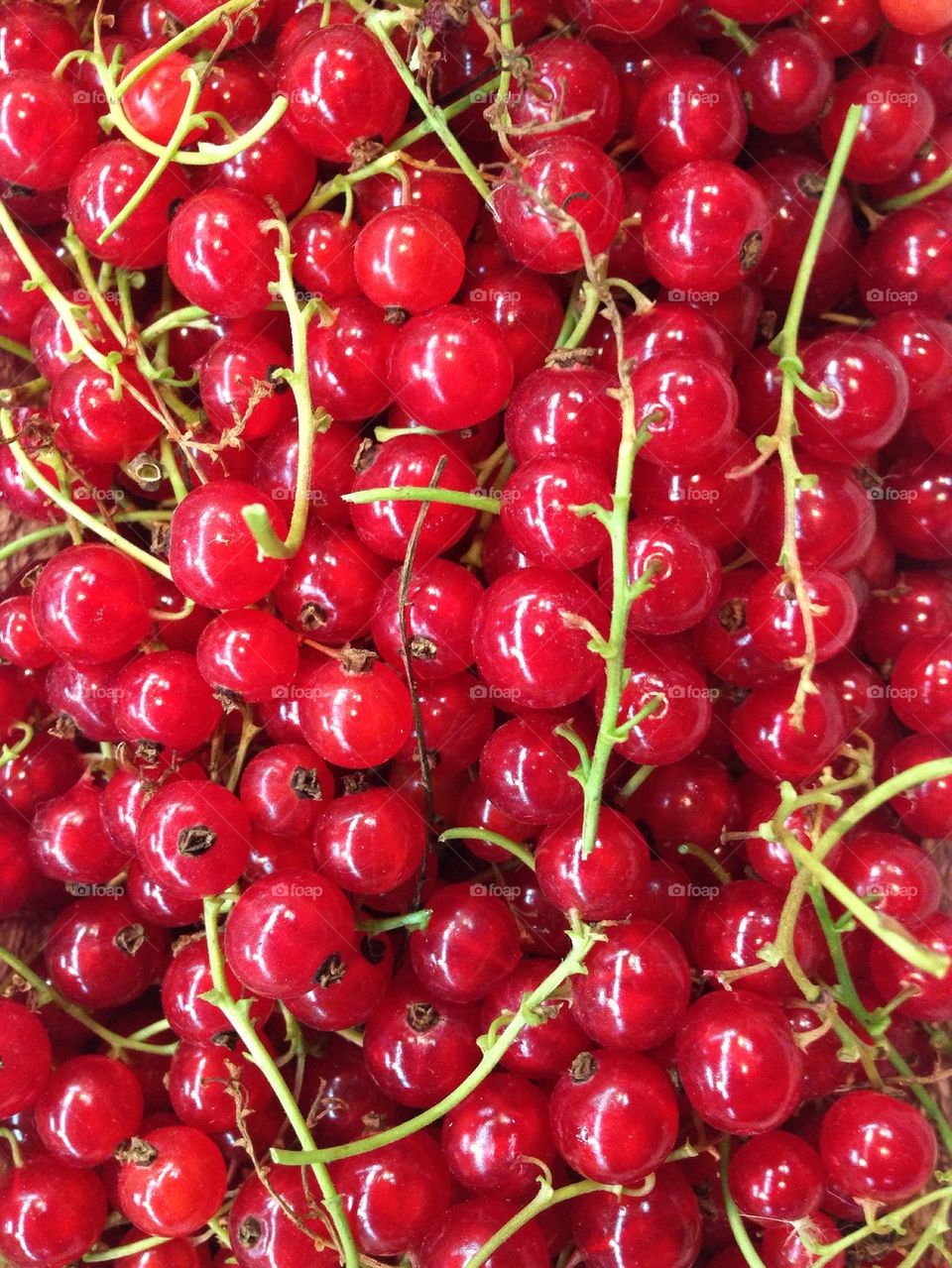 Red currants