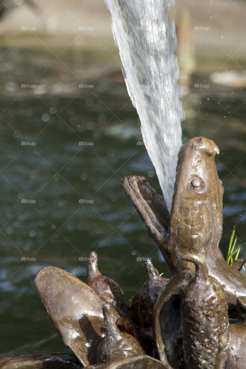 Close-up of fountain