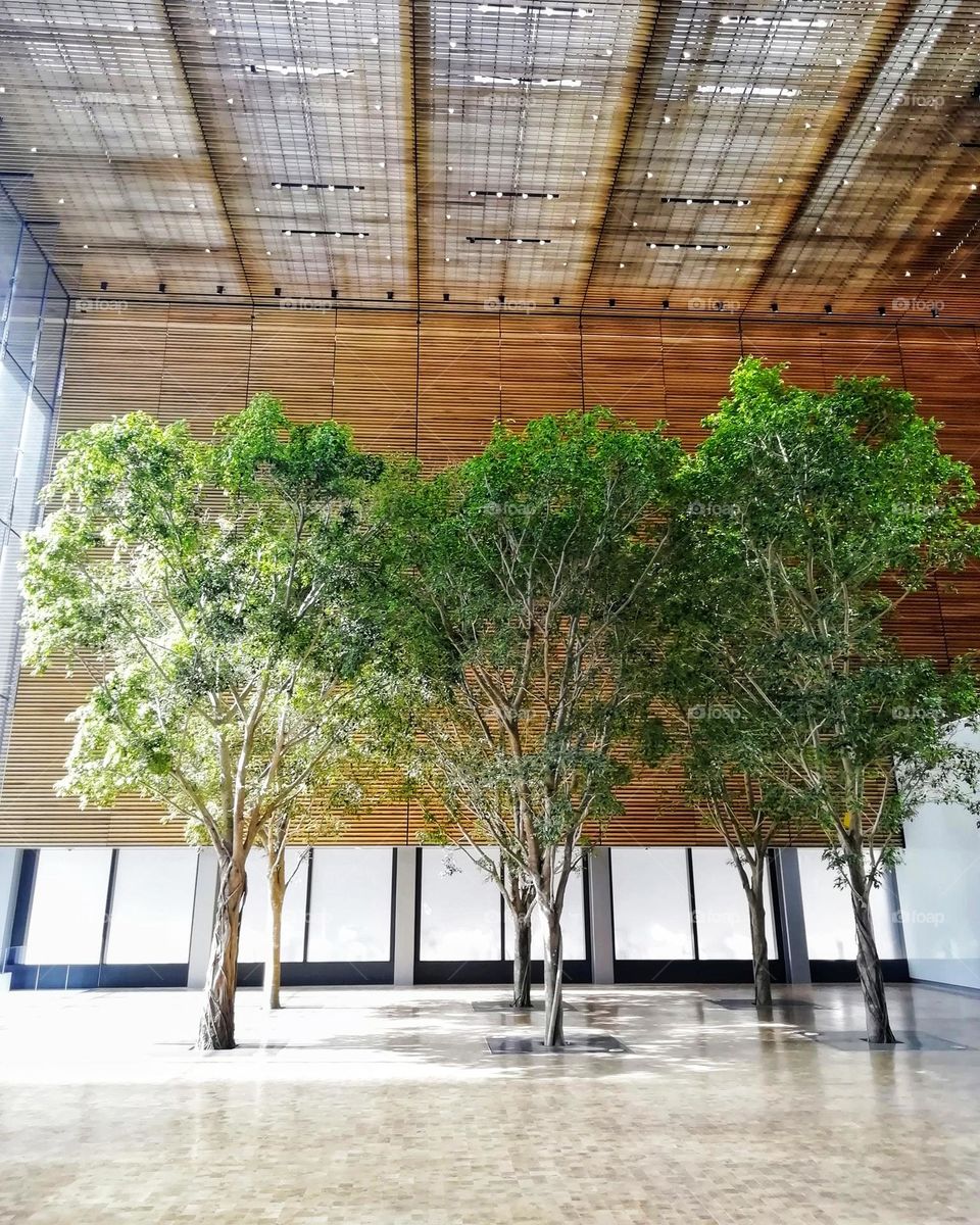 Urban nature: plants