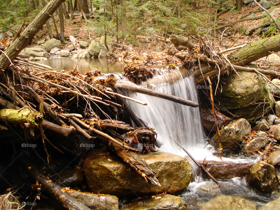 In the woods. There was something about the Shawangunk