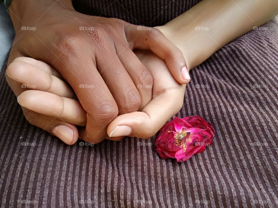 Close-up of hands holding with rose flower