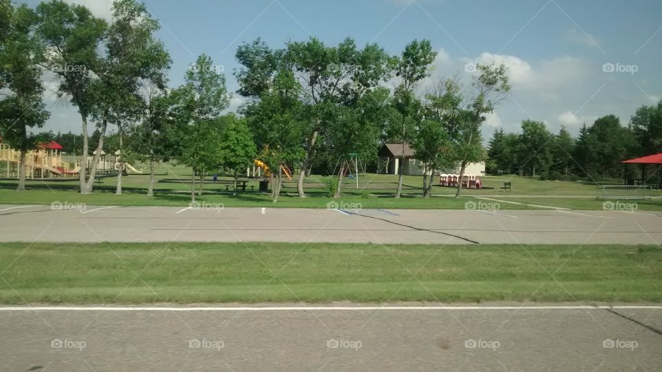 Tree, Competition, Road, Park, Landscape