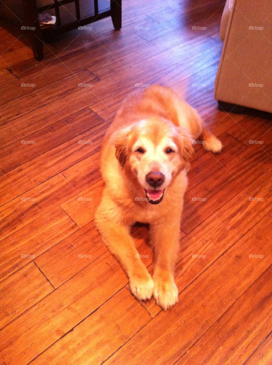 So old and distinguished 