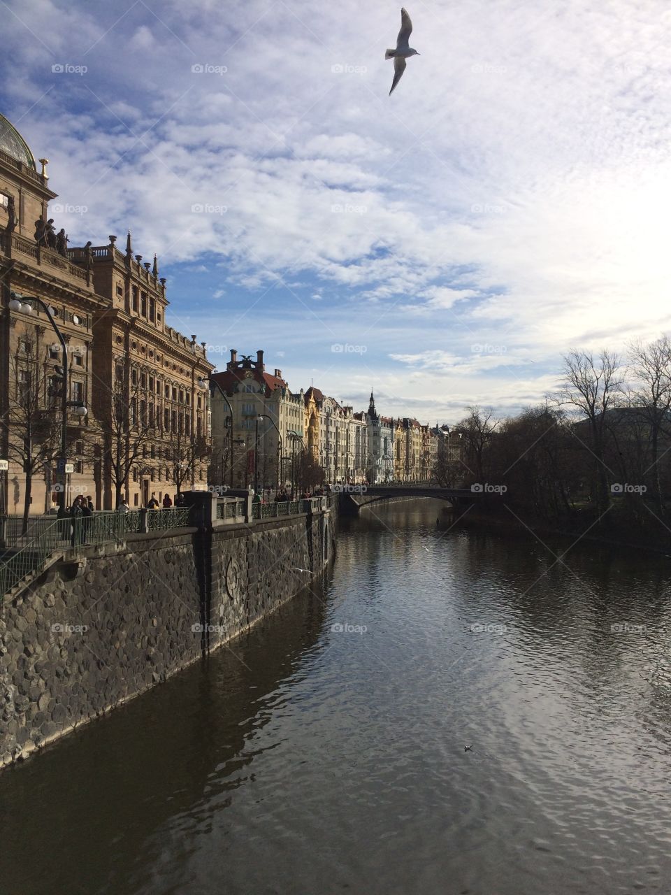 Vltava River in Prague