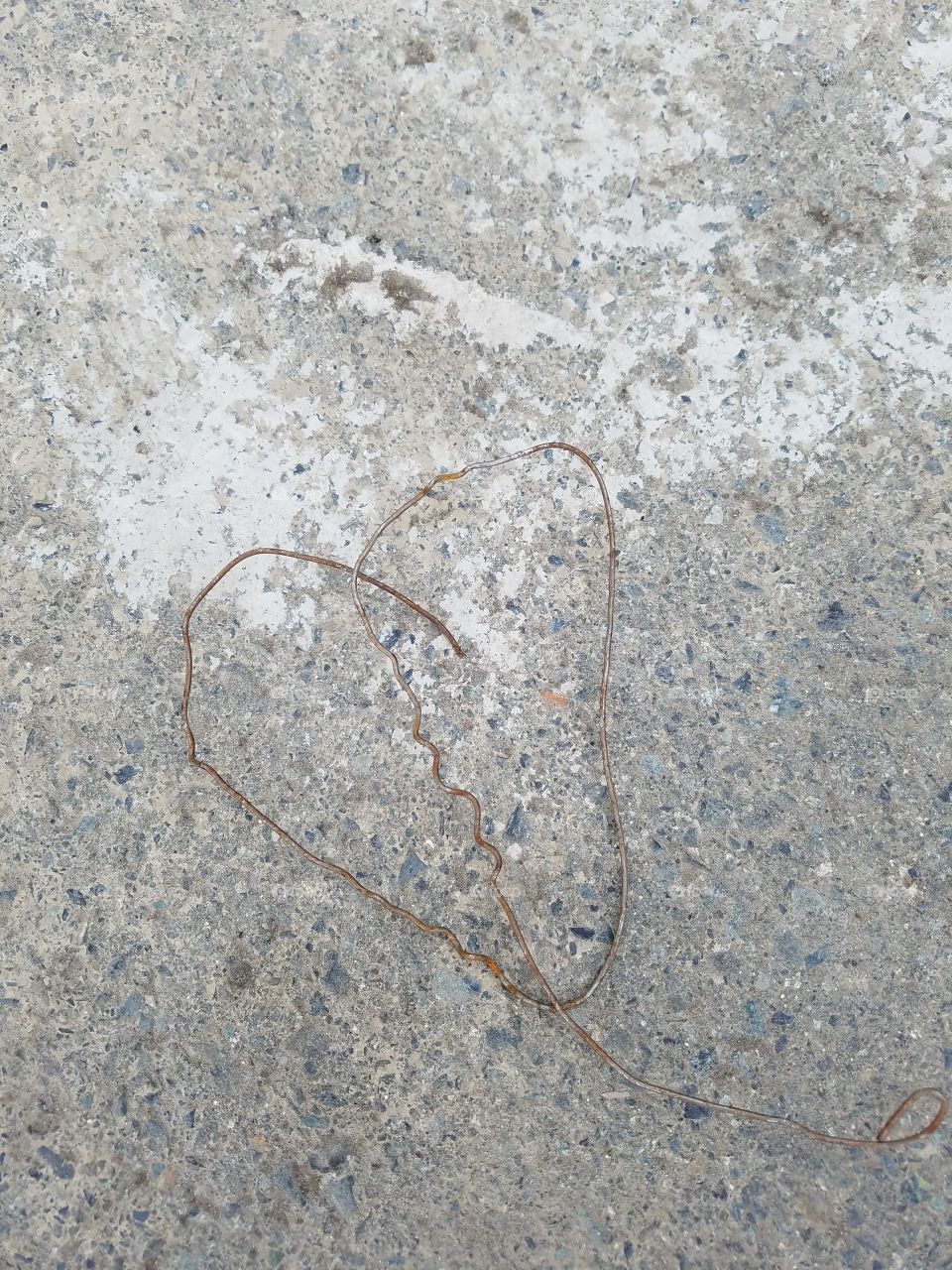 wire heart