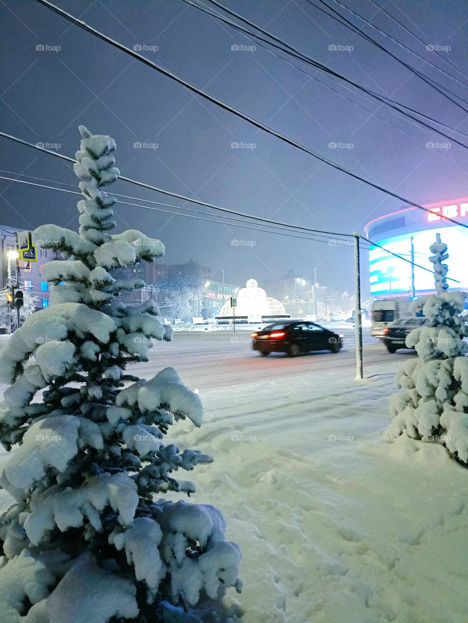 Snowstorm in the city
