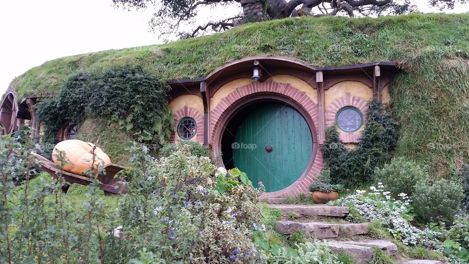 Hobbit home
