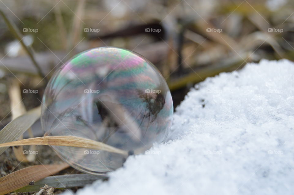 soapbubble