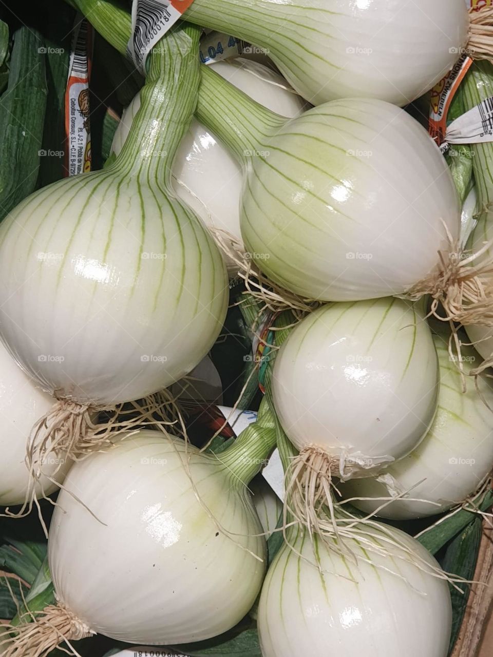 Onions#vegetable#food